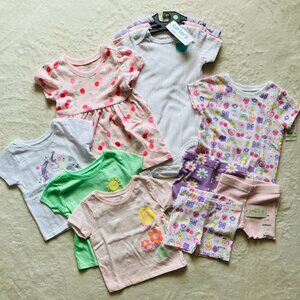 6-9 Month Baby Girl Carter's & Garanimals Spring/Summer Bundle